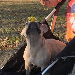 Meet your Posher, Kristina